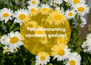 Pinkstermaandag